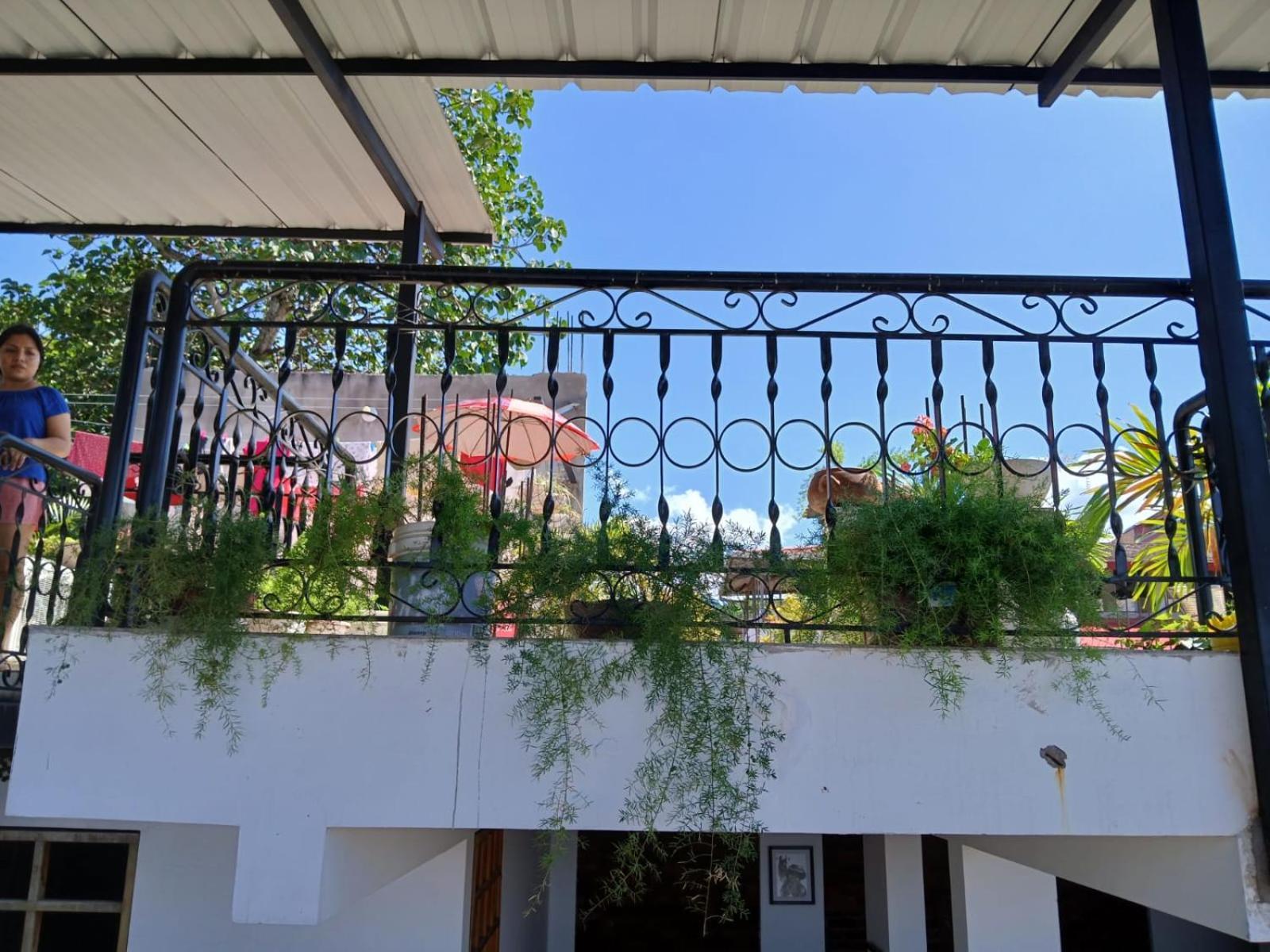 Alojamiento Familiar Custodia Tarapoto Εξωτερικό φωτογραφία