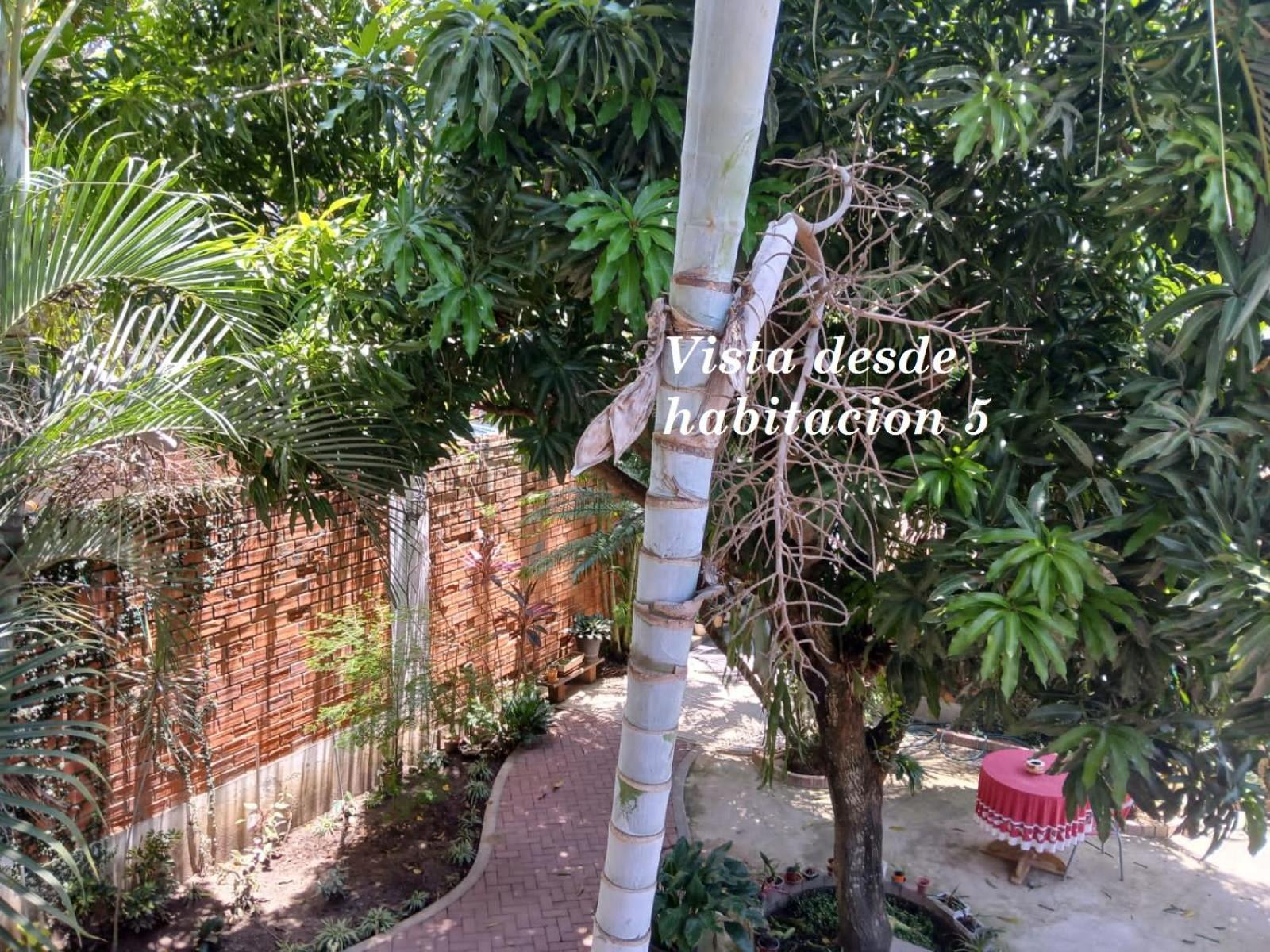 Alojamiento Familiar Custodia Tarapoto Εξωτερικό φωτογραφία